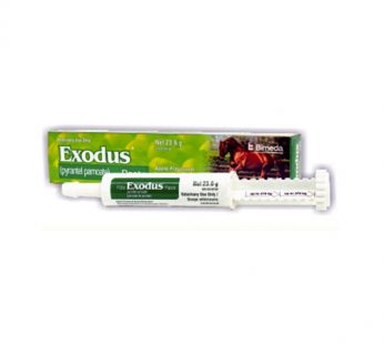 Exodus Pasta x 23.6 g