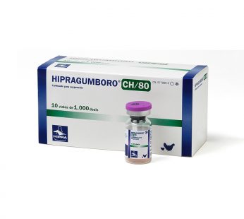 Hipragumboro-CH/80 1000 Dosis x 10 un.