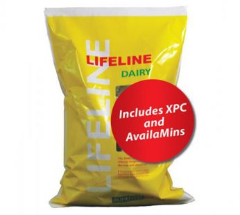 Lifeline Precalver Dairy Mineral 25kg