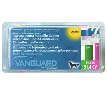 Vanguard® Plus 5 L4 CV 1 ds – Vacuna