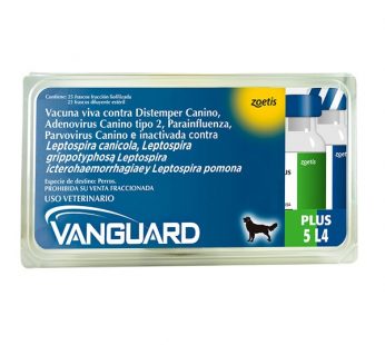 Vanguard® Plus 5 L4 1 ds – Vacuna